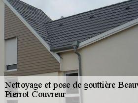 Nettoyage et pose de gouttière  beauvernois-71270 Pierrot Couvreur