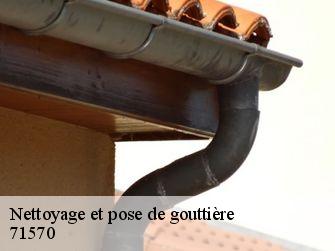 Nettoyage et pose de gouttière  71570