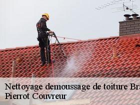 Nettoyage demoussage de toiture  branges-71500 Pierrot Couvreur