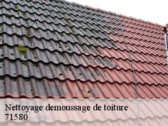 Nettoyage demoussage de toiture  71580