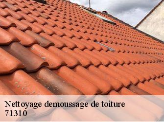 Nettoyage demoussage de toiture  71310