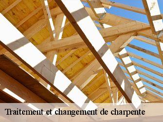 Traitement et changement de charpente  71550