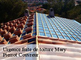 Urgence fuite de toiture  mary-71690 Pierrot Couvreur