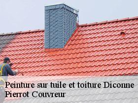 Peinture sur tuile et toiture  diconne-71330 Pierrot Couvreur