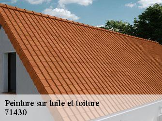 Peinture sur tuile et toiture  71430